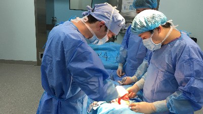 膽囊切除后為什么長期腹瀉？